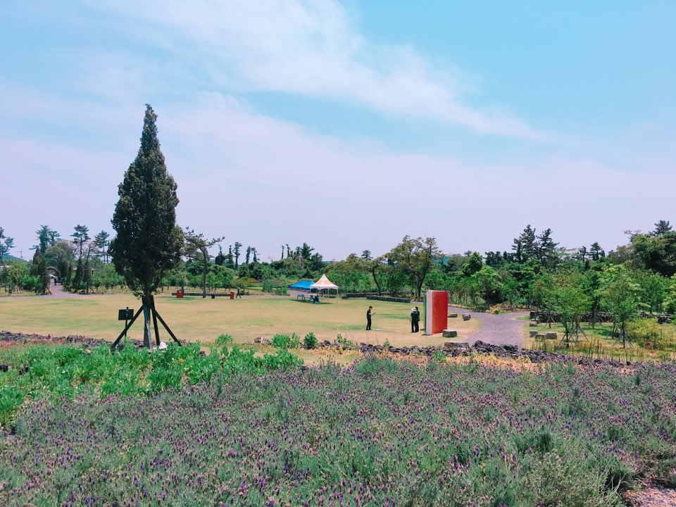 비밀의 숲 이미지 3