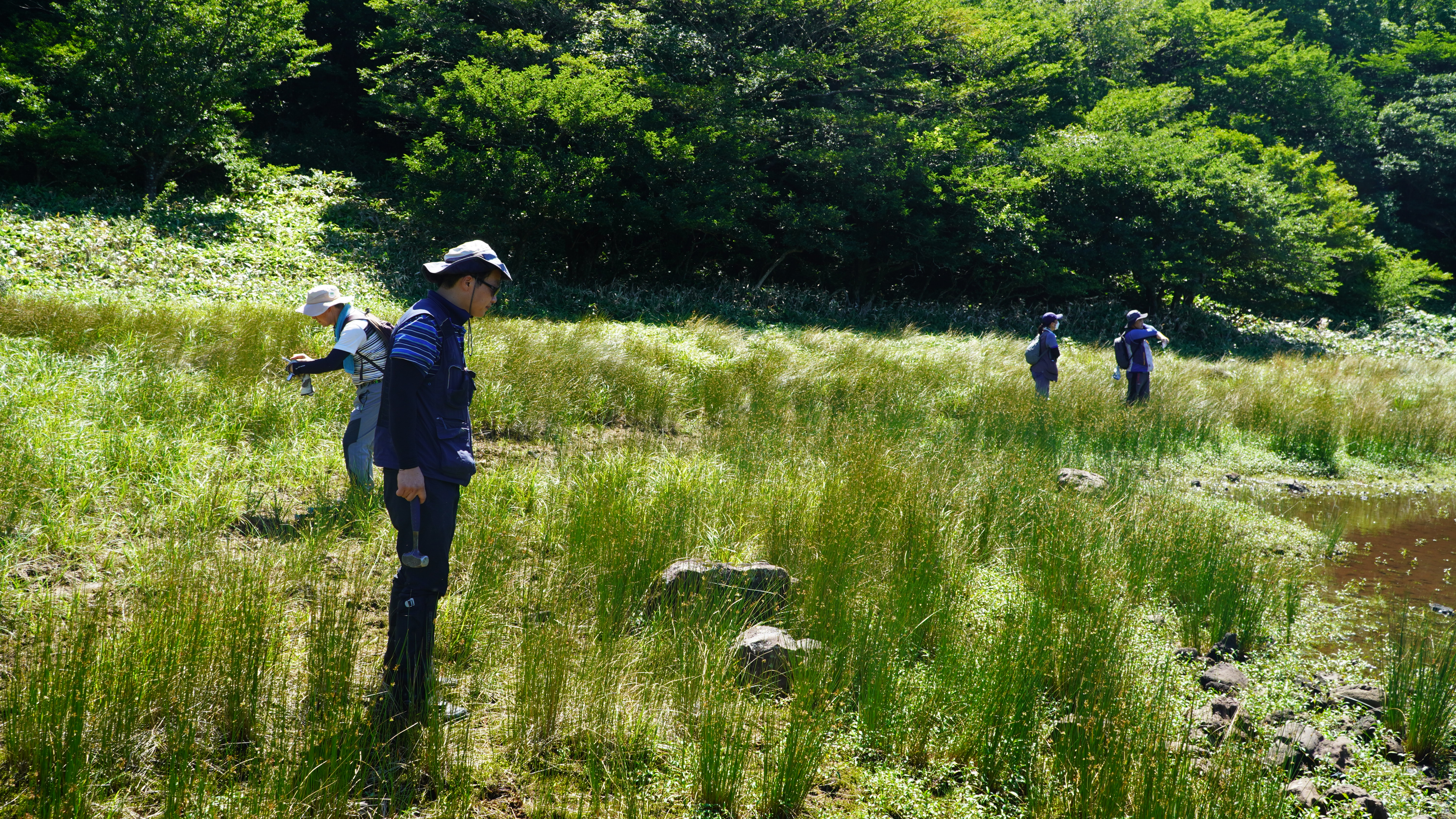 어승생오름 연구지원