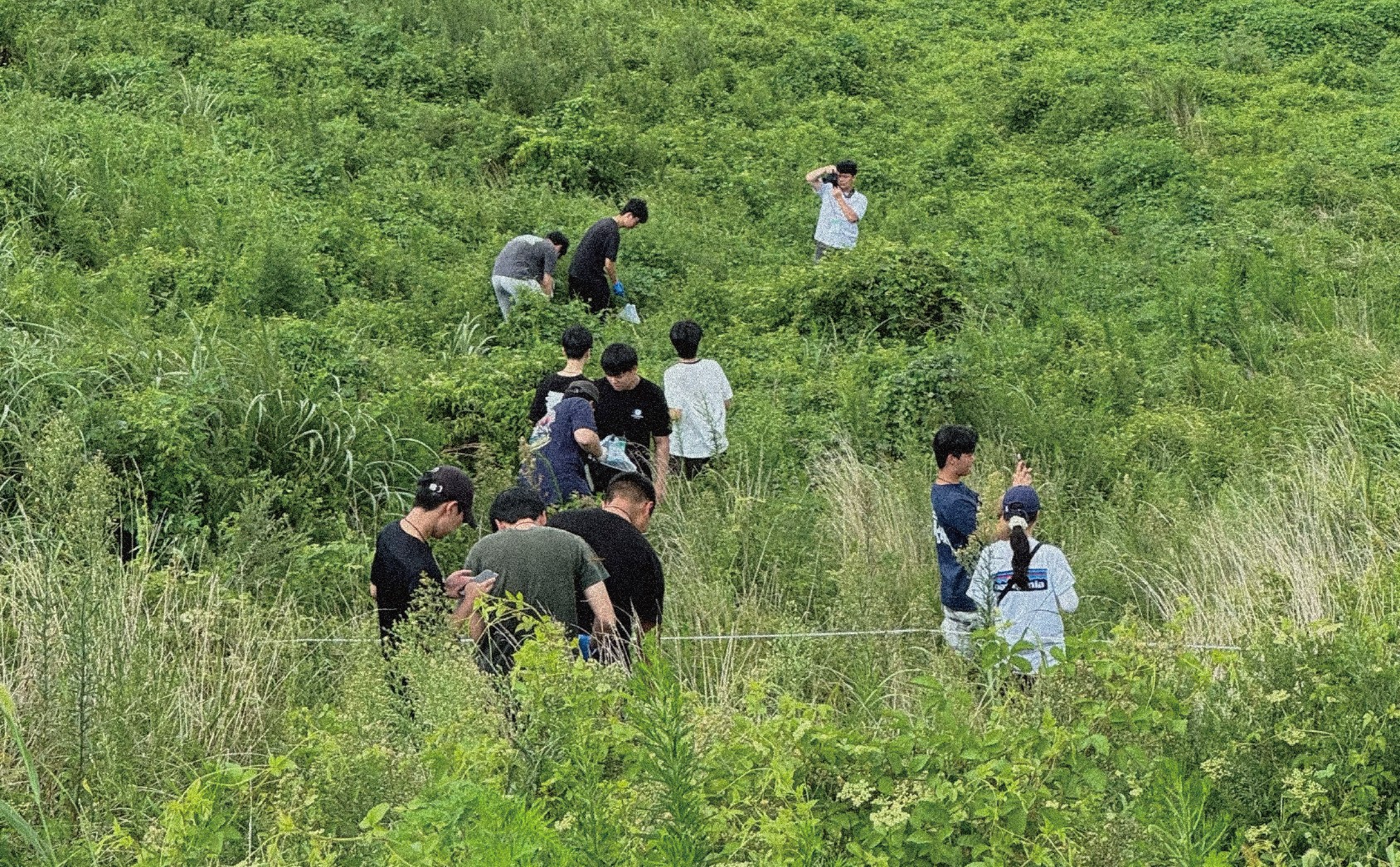 금오름 토양 복원