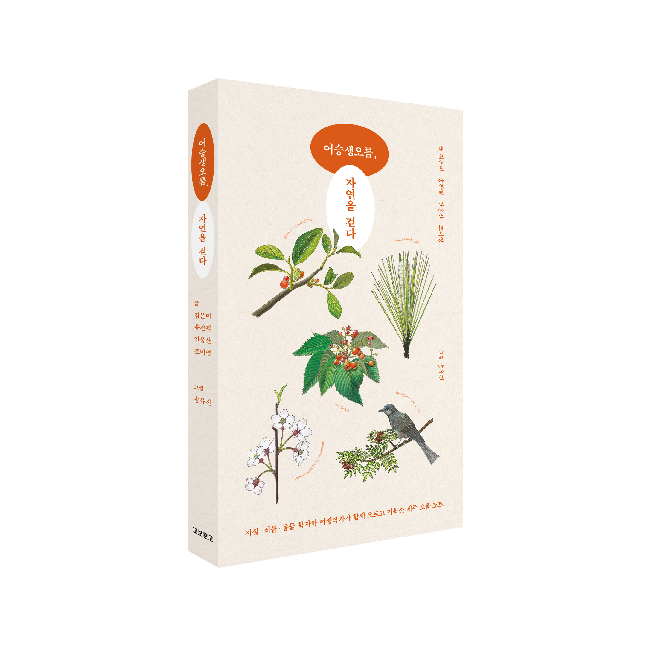 어승생오름 도서