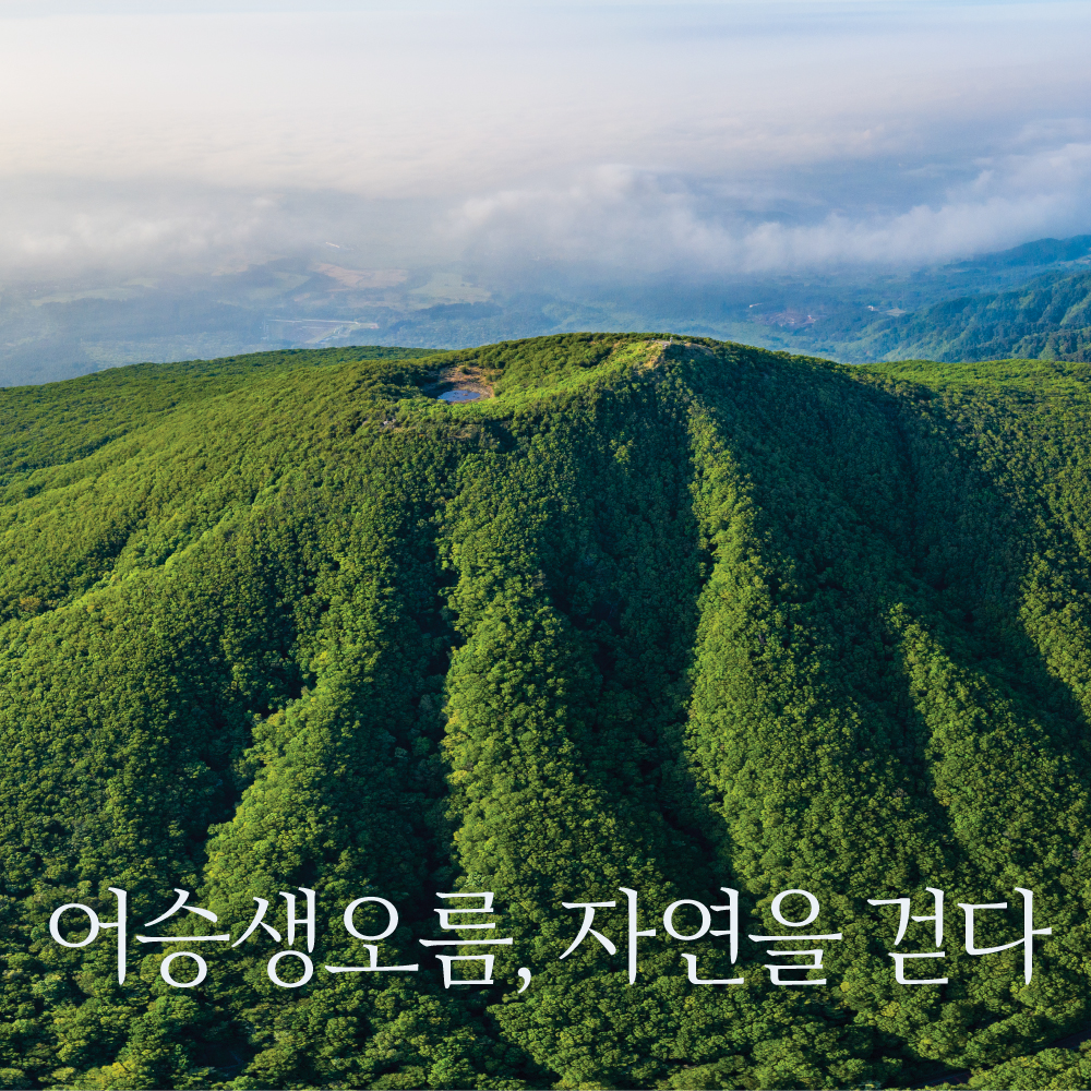 어승생오름, 자연을 걷다