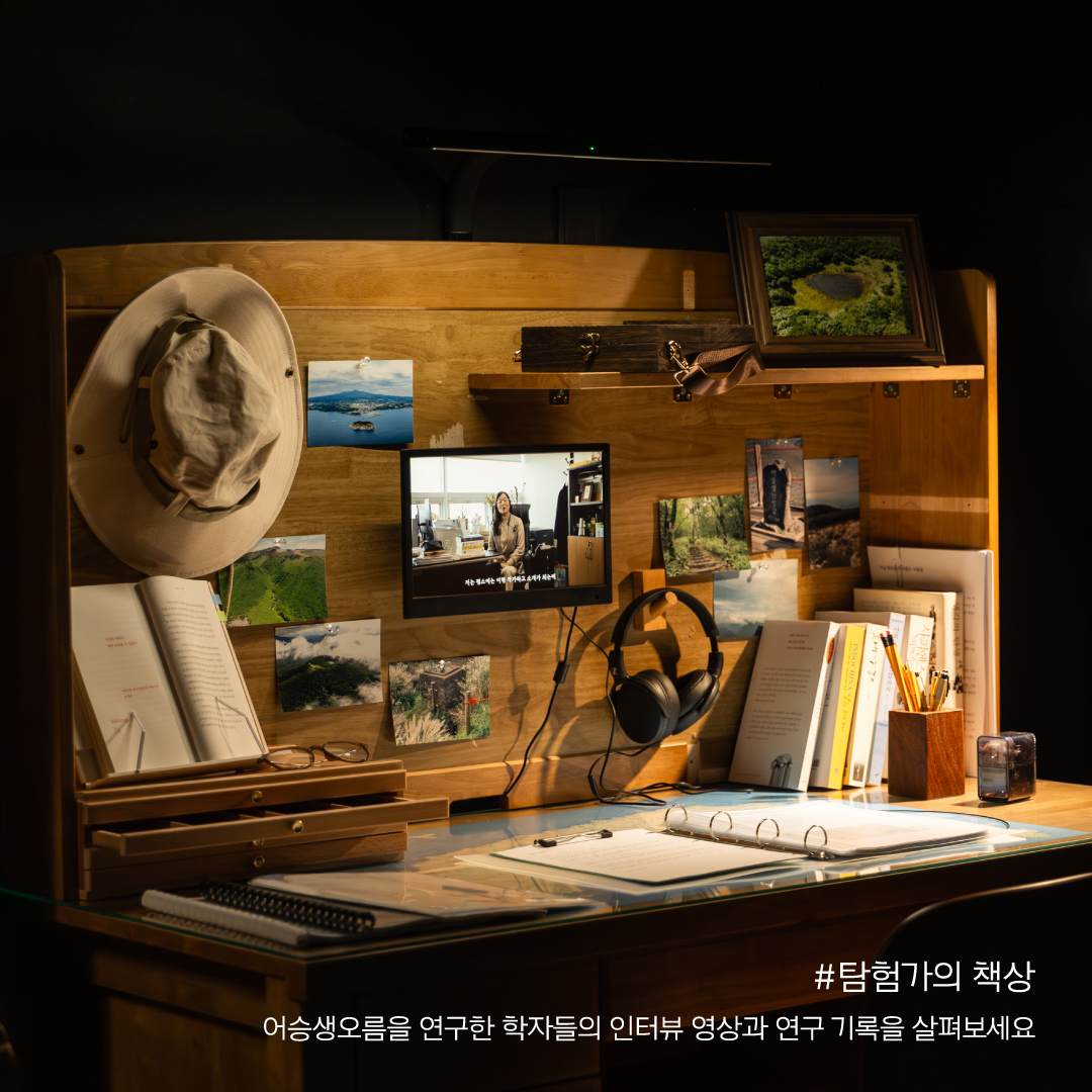 오름 에코백 꾸미기