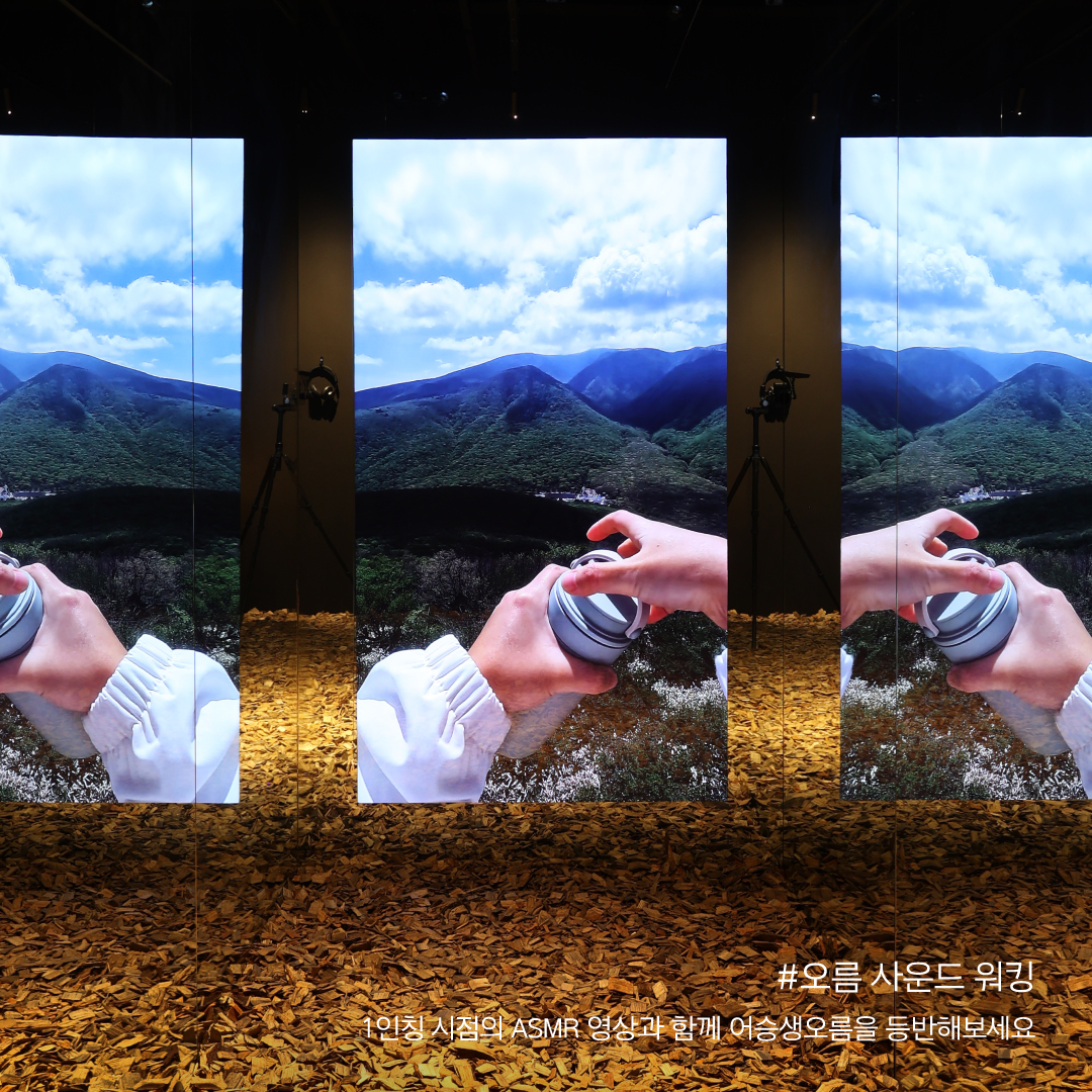 오름 사운드 워킹