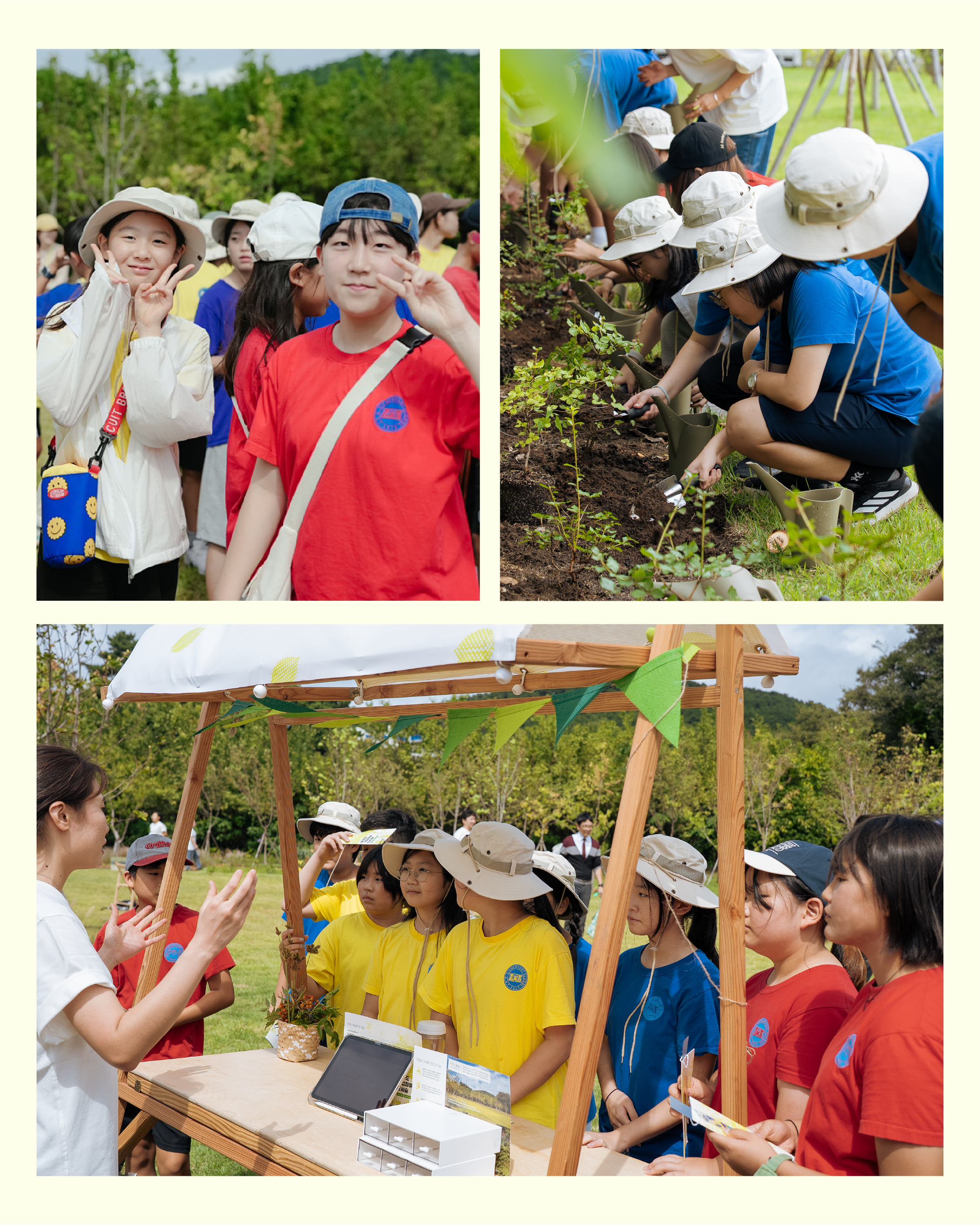 도시숲 카드뉴스3