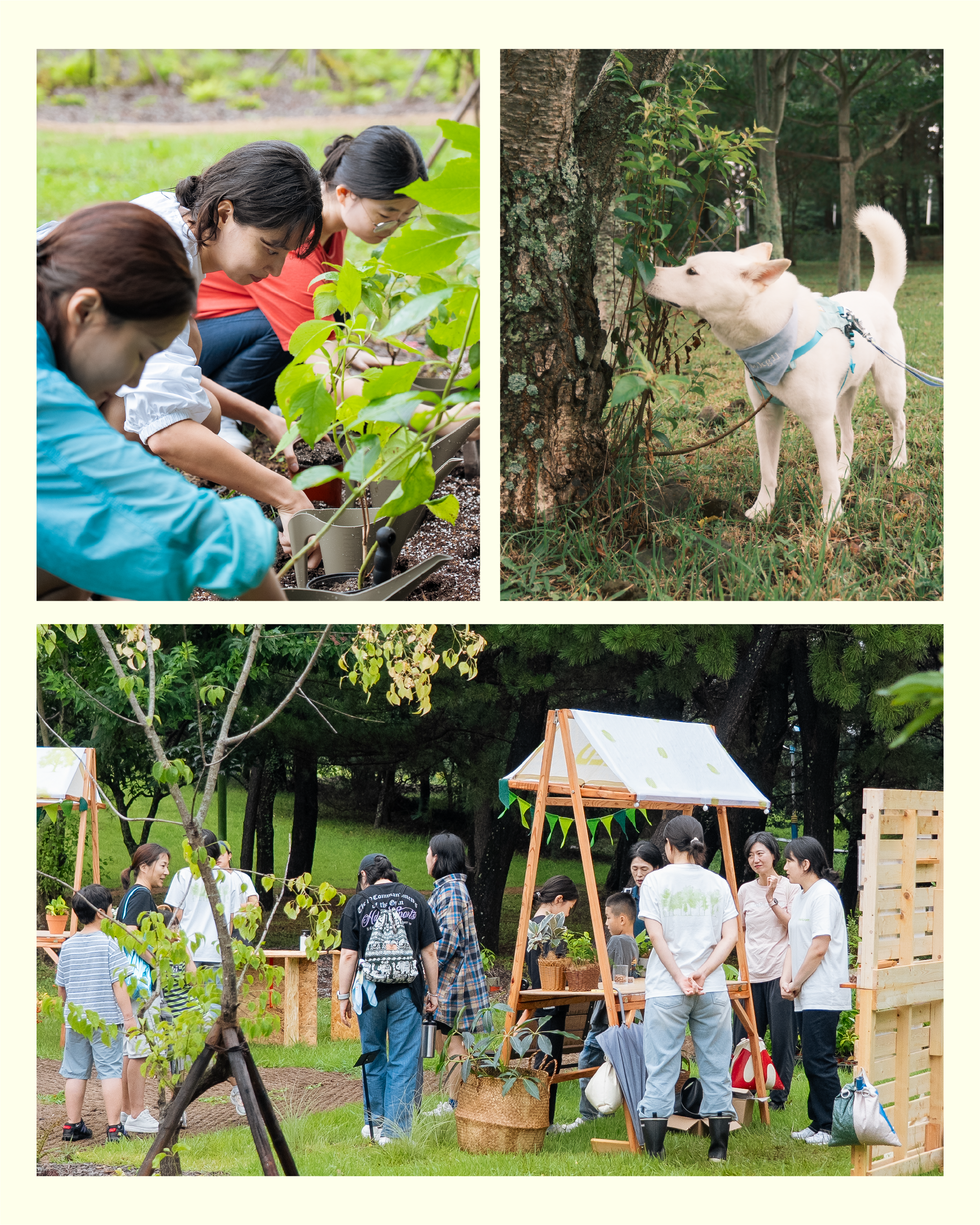 도시숲 카드뉴스5