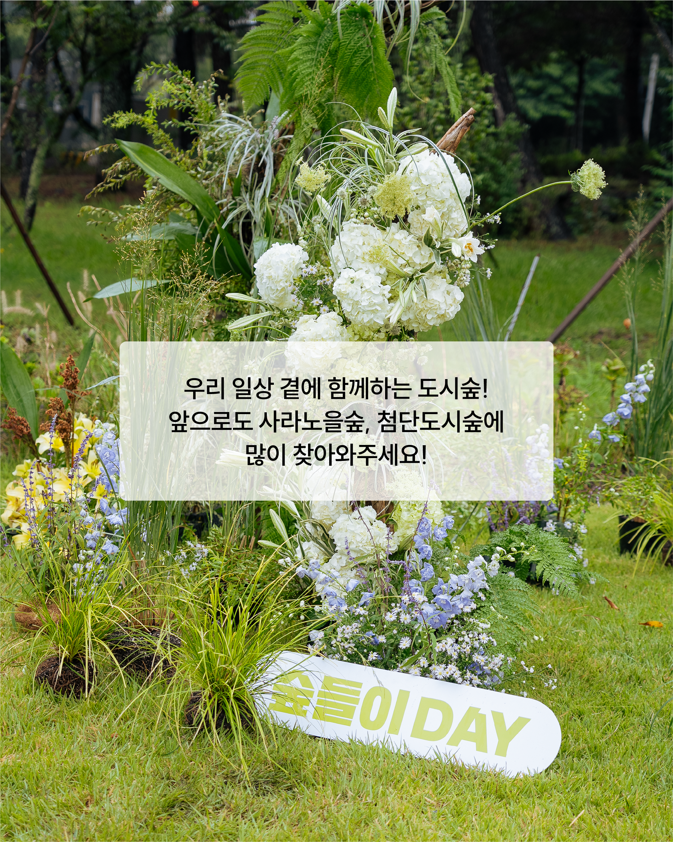 도시숲 카드뉴스 ７